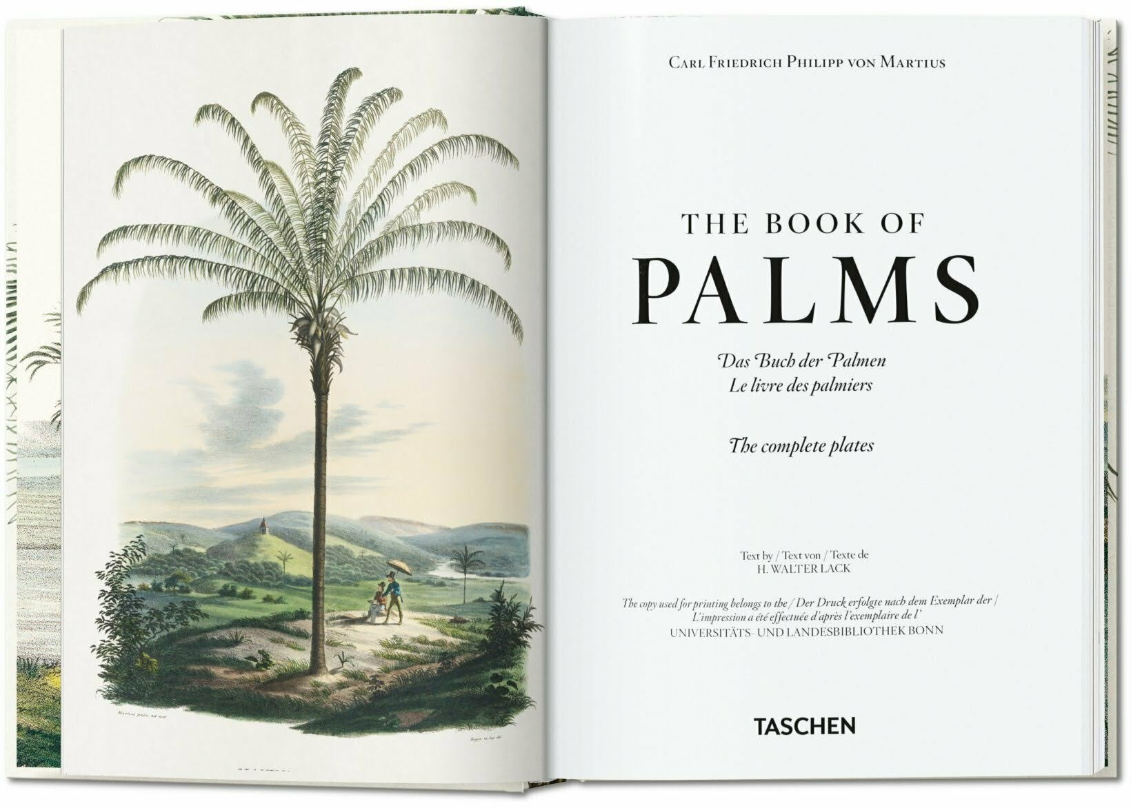 Martius: The Book of Palms. 40th Anniversary Edition