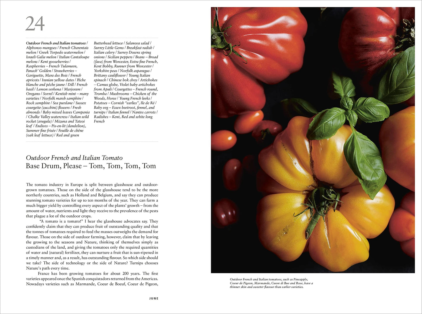 Turnips' Edible Almanac: Cooking with Seasonal Ingredients - Fred Foster