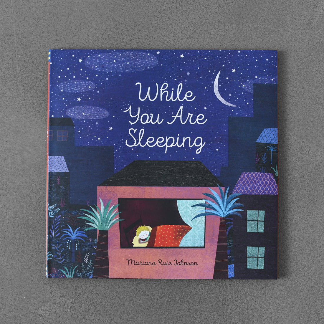 While You Are Sleeping - Mariana Ruiz Johnson