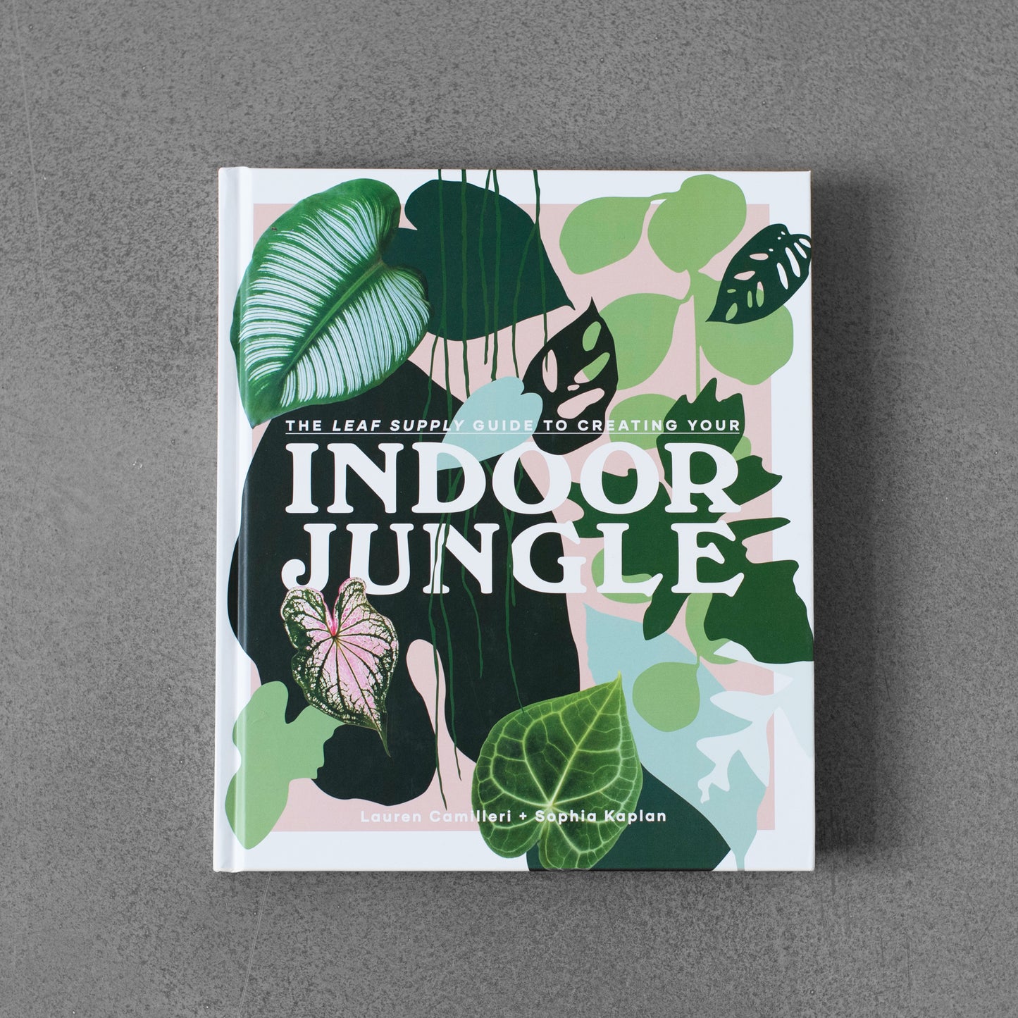 The Leaf Supply Guide to Creating Yours: Indoor Jungle - Lauren Camilleri & Sophia Kaplan