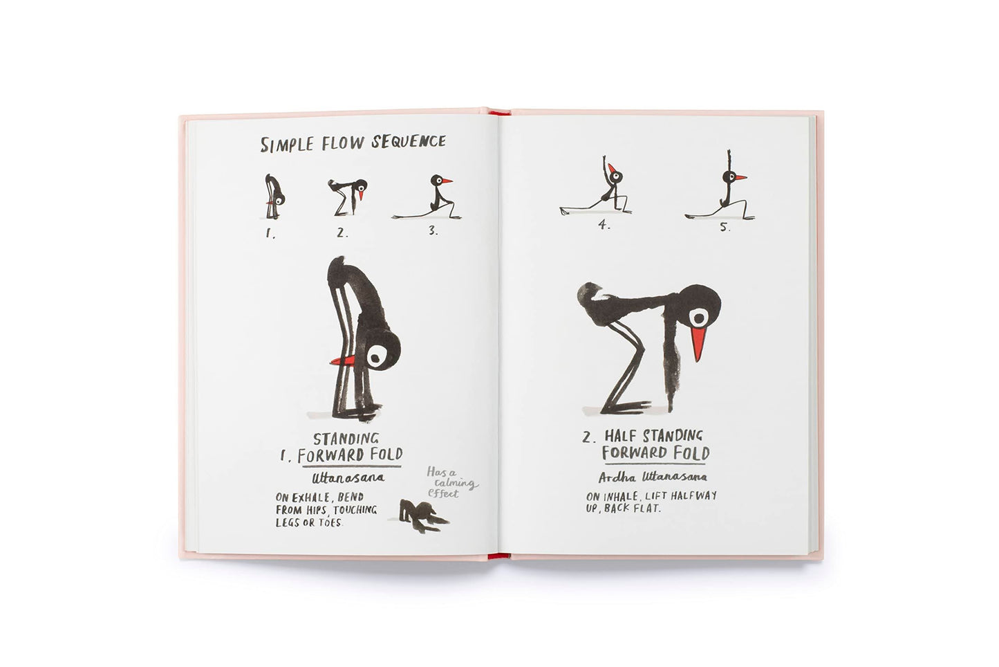 Yoga for Stiff Birds, Marion Deuchars