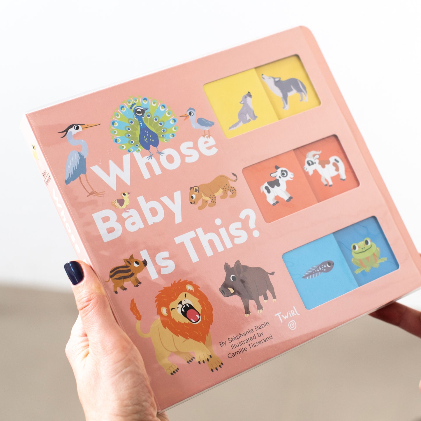Whose Baby Is This? - Stephanie Babin, Camille Tisserand