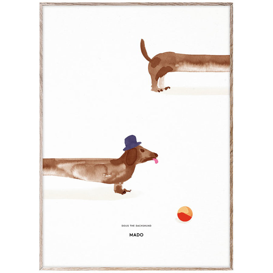 Paper Collective - Doug the Dachshund 50x70