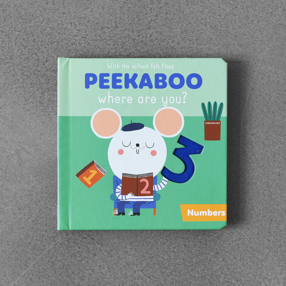 Peekaboo: Where Are You?