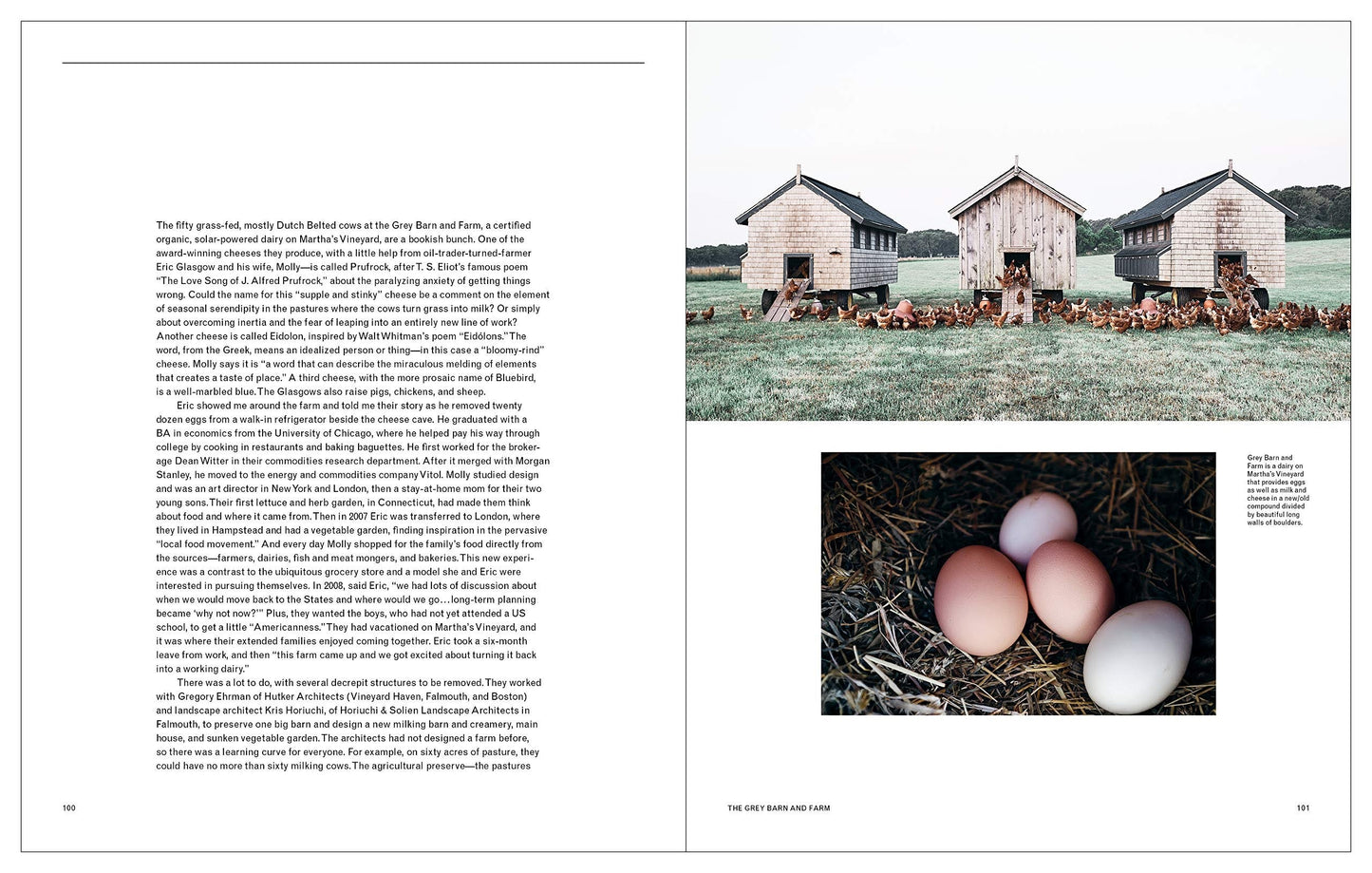 The New Farm: Contemporary Rural Architecture
