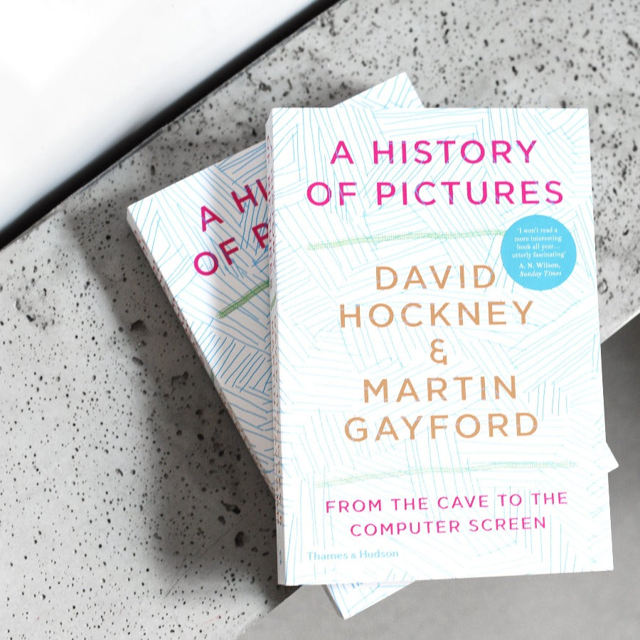 A History of Pictures: From the Cave to the Computer Screen - David Hockney & Martin Gayford