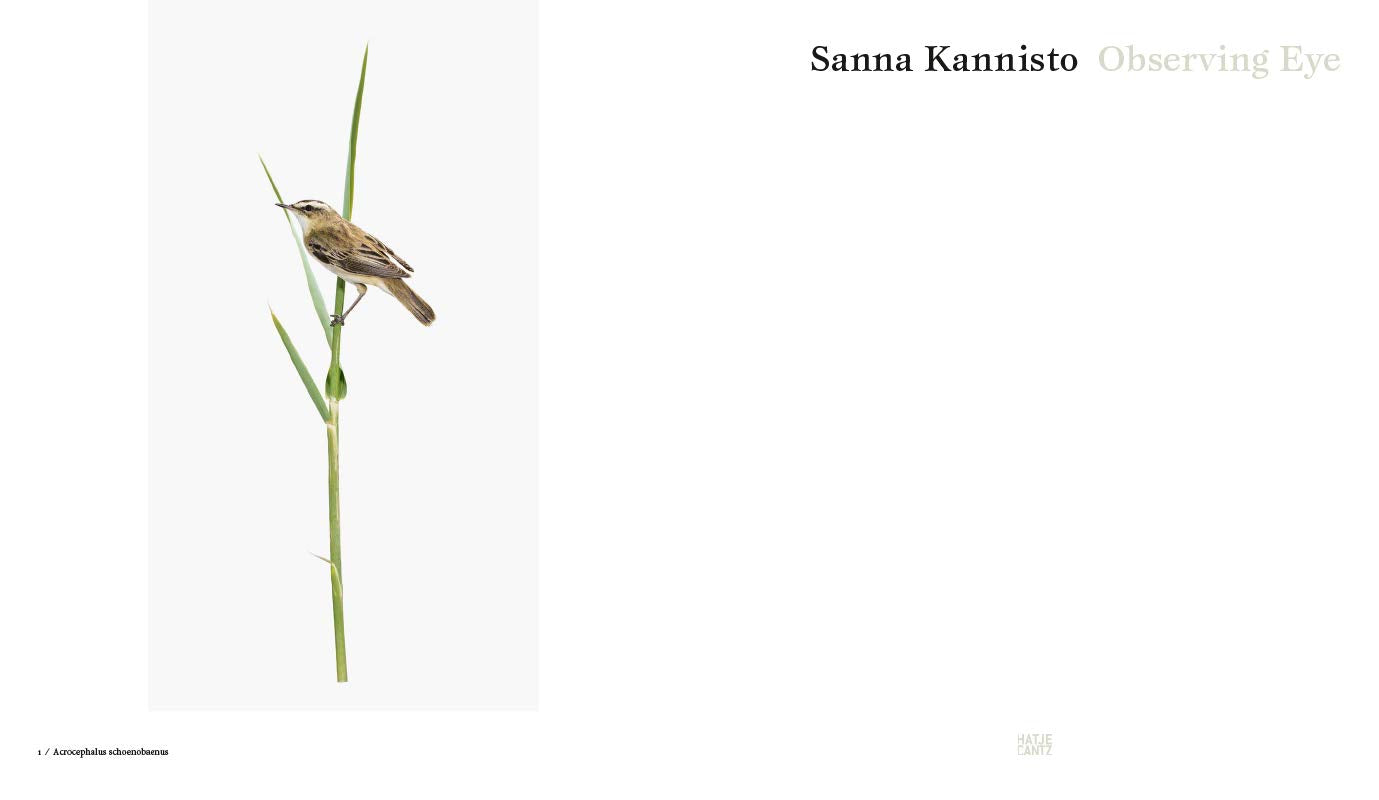 Observing Eye – Sanna Kannisto