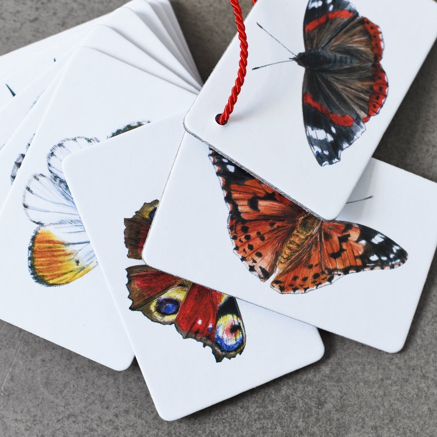 Kapesní atlas – Motýli