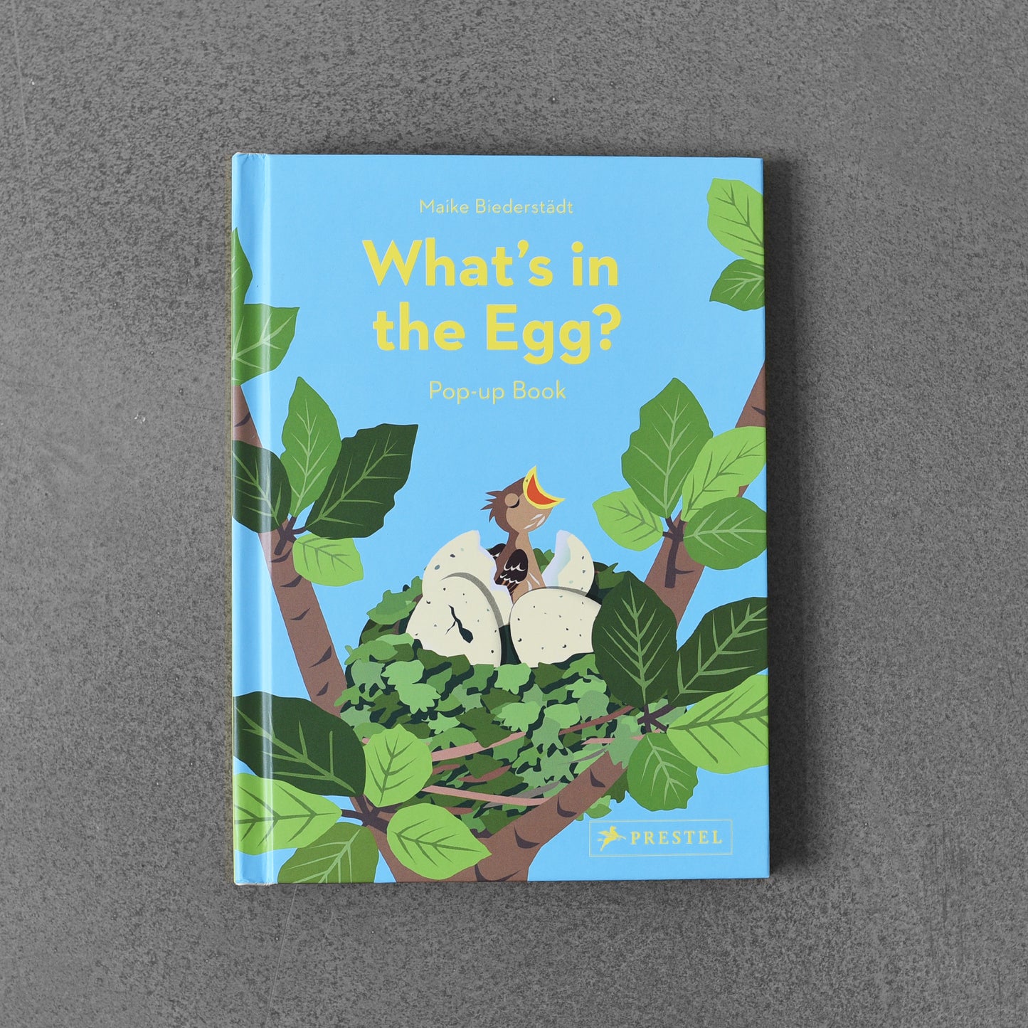 What’s in the Egg? - Maike Biederstädt