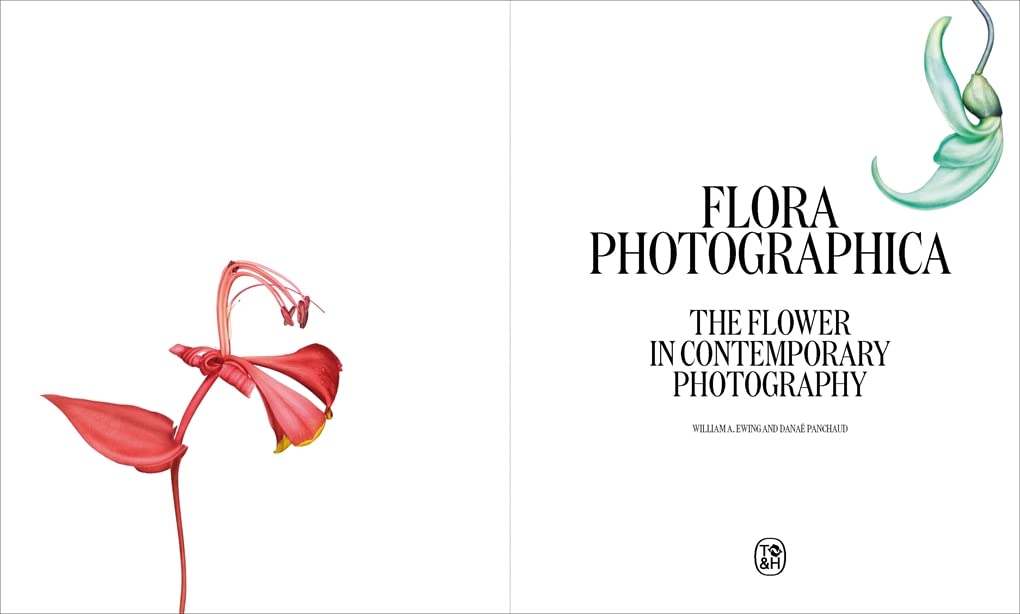 Flora Photographica: The Flower in Contemporary Photography