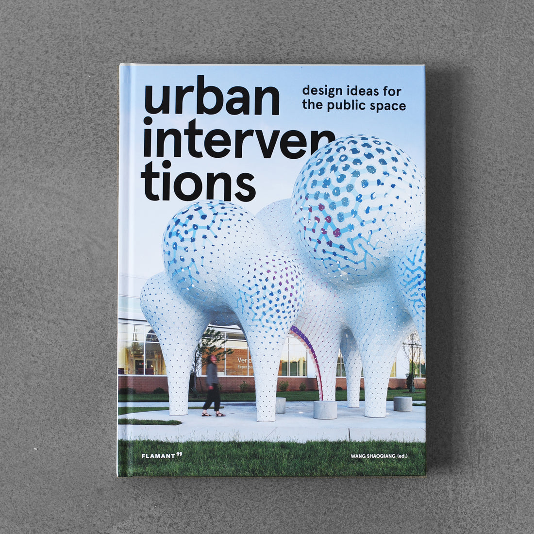 Urban Interventions: Design Ideas for the Public Space