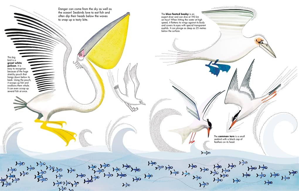 1001 Fish - Joanna Rzezak
