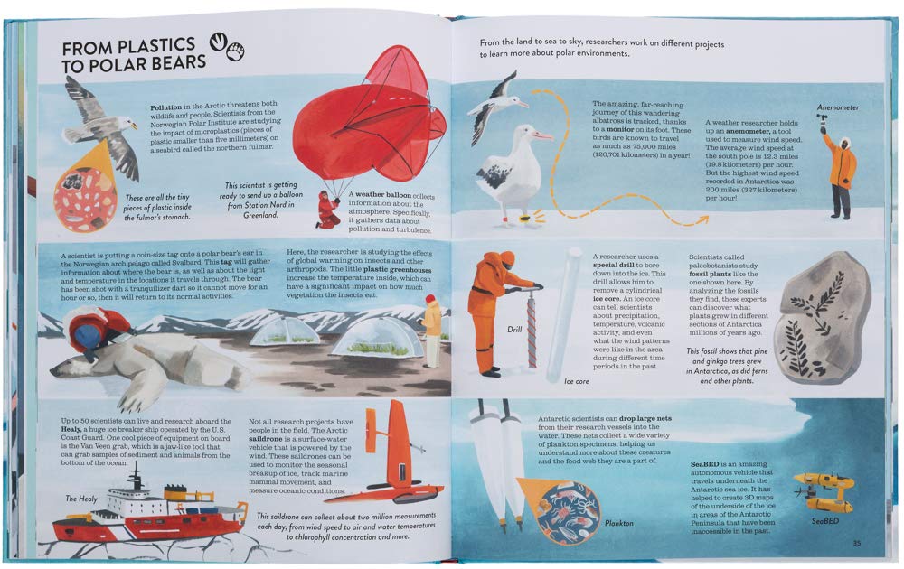 Penguins & Polar Bears: A Pretty Cool Introduction to the Arctic and Antarctic