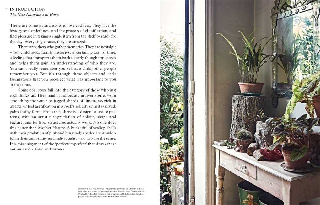 New Naturalists: Inside the Homes of Creative Collectors