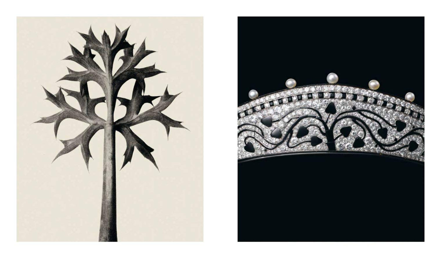 Sur]Naturel Cartier: High Jewelry and Precious Objects - Jewelry Connoisseur
