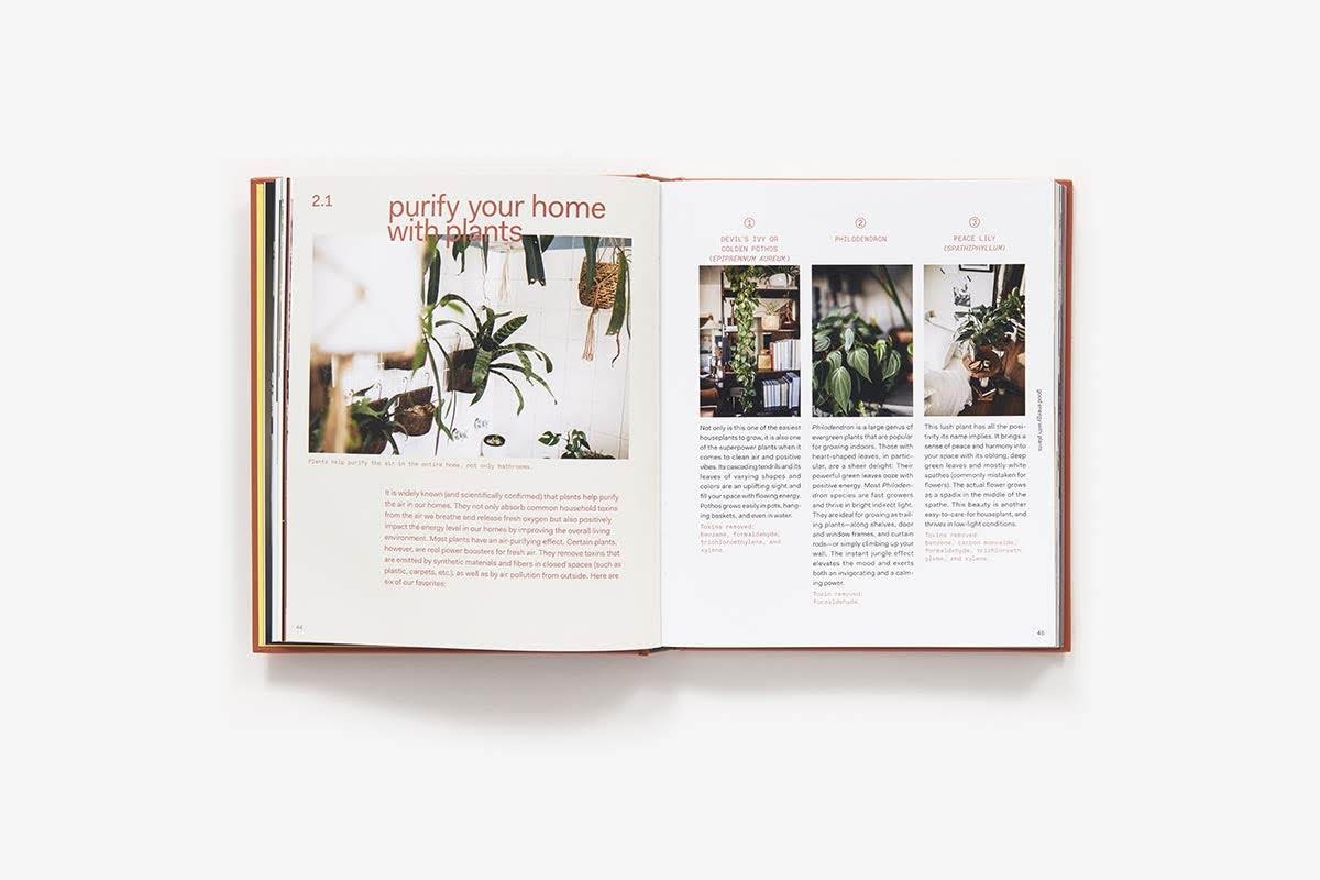 Plant Tribe: Living Happily Ever after with Plants - Igor Josifovic & Judith de Graaff