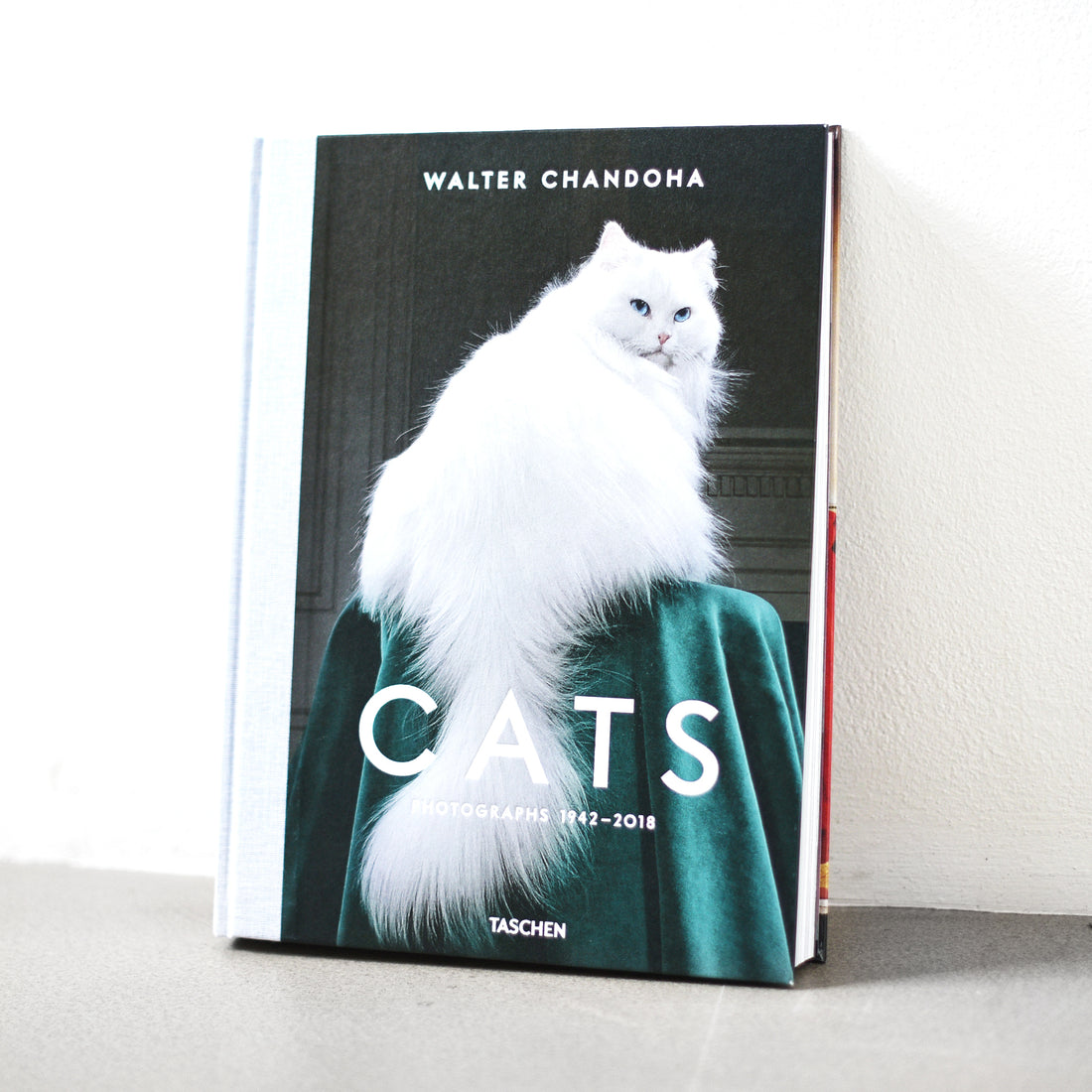 Cats: Photographs 1942 - 2018 - Walter Chandoha
