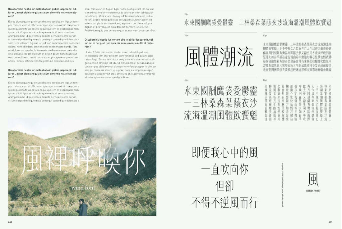 Hanzi Kanji Hanja 2: Graphic design with Contemporary Chinese Typography