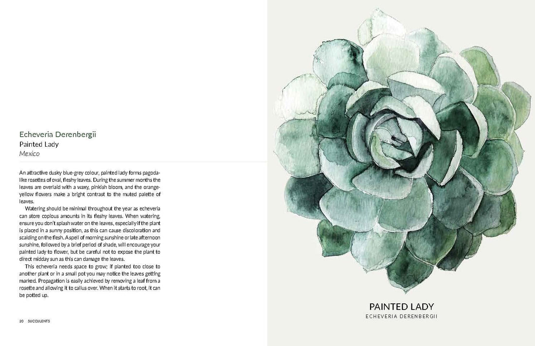 urban botanics an indoor plant guide for modern gardeners Urban Botanics: An Indoor Plant Guide for Modern Gardeners