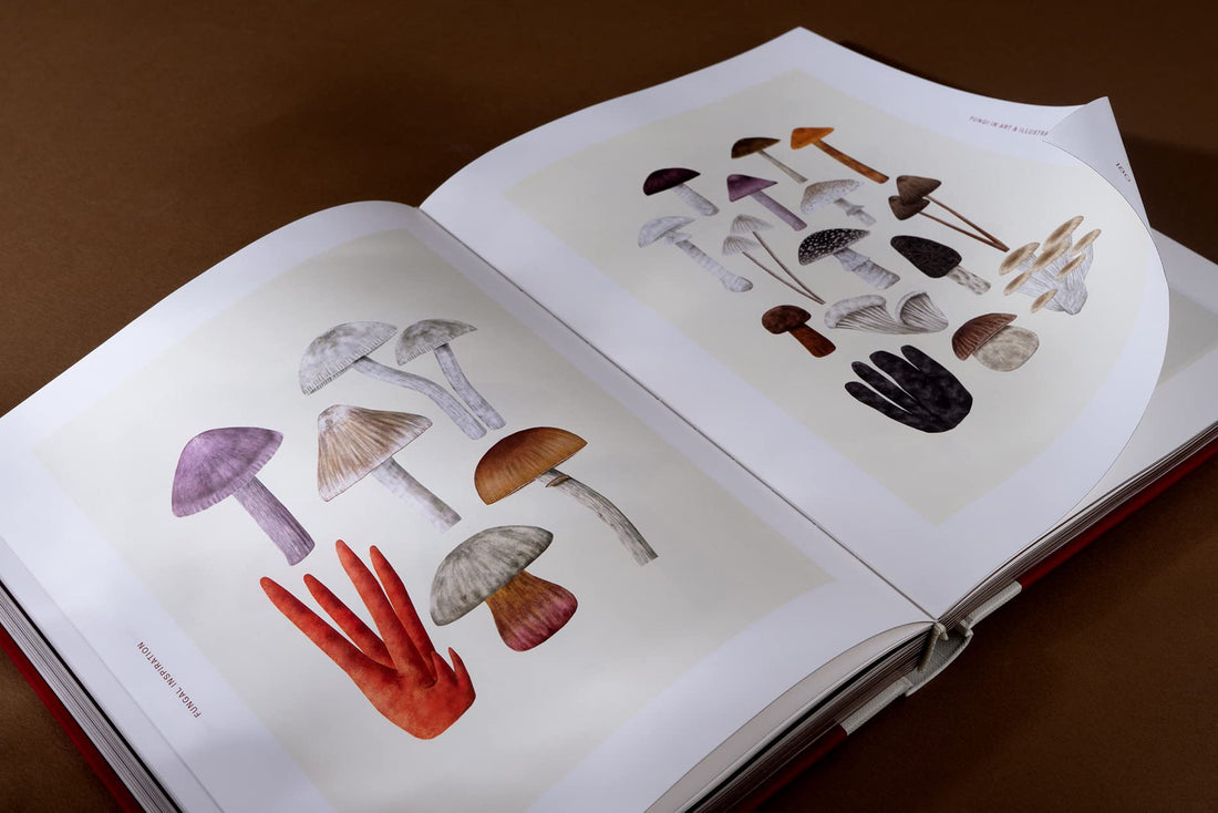 FUNGAL INSPIRATION: Art and Design Inspired by Wild Nature