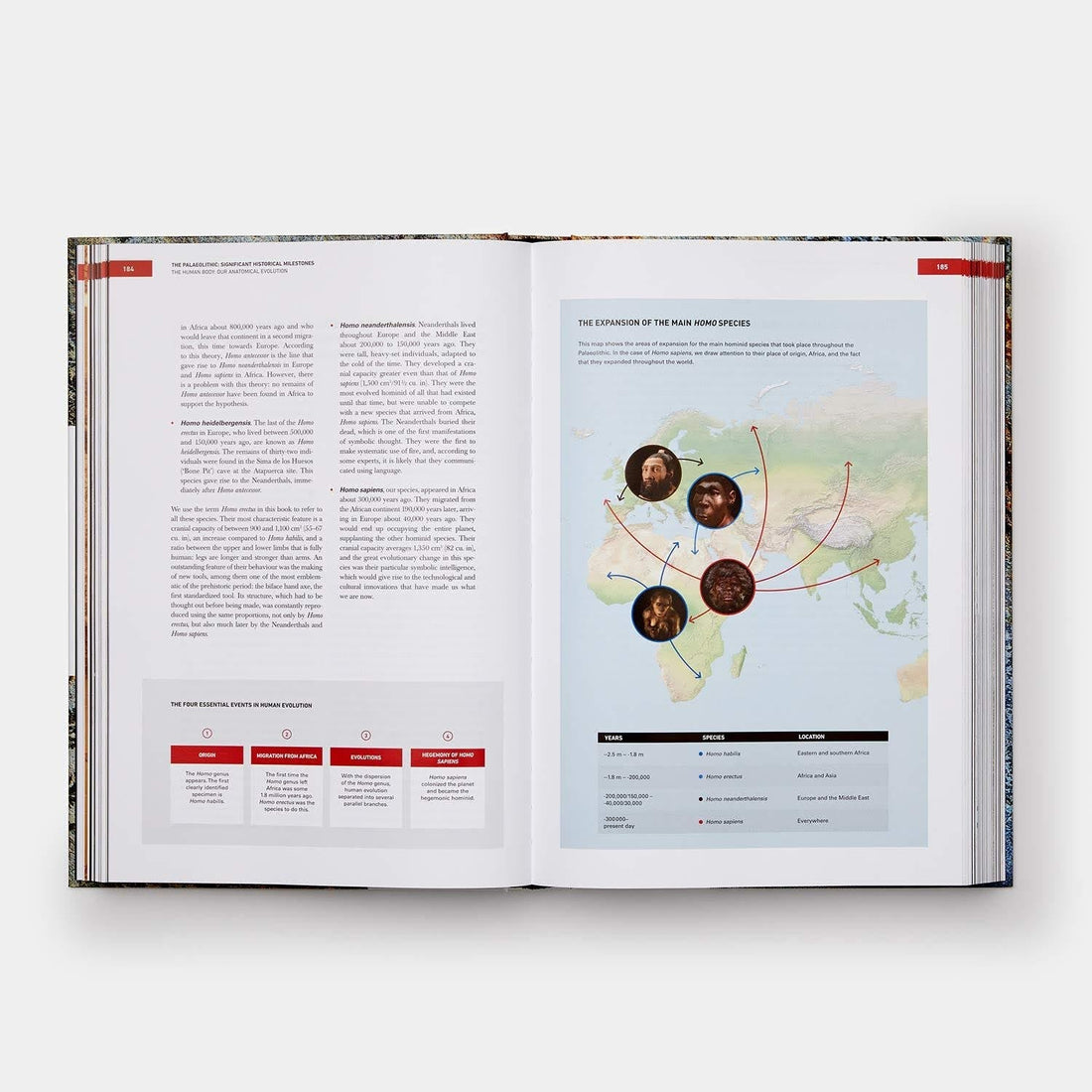 Origins of Cooking : Palaeolithic and Neolithic Cooking Bullipedia