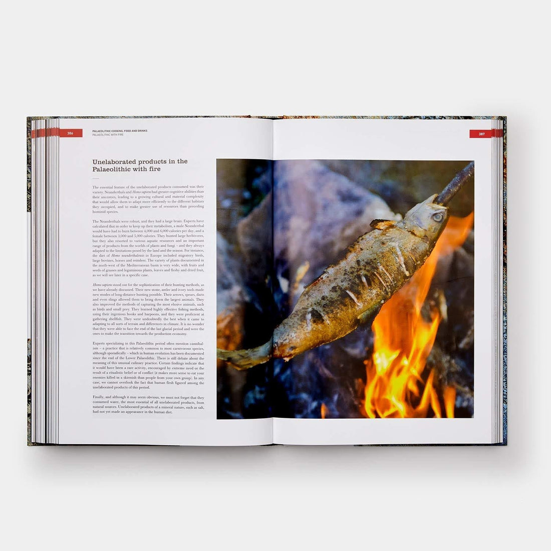 Origins of Cooking : Palaeolithic and Neolithic Cooking Bullipedia