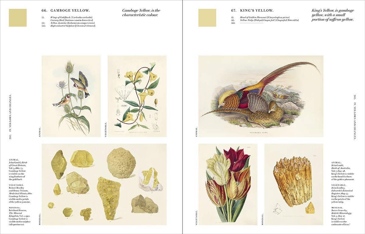 Nature's Palette : A colour reference system from the natural world