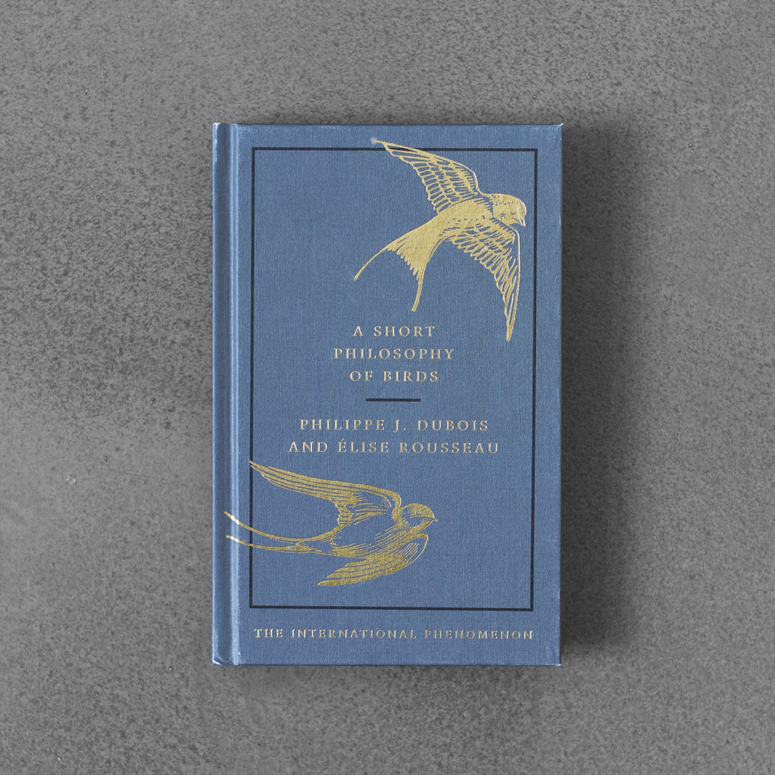 A Short Philosophy of Birds