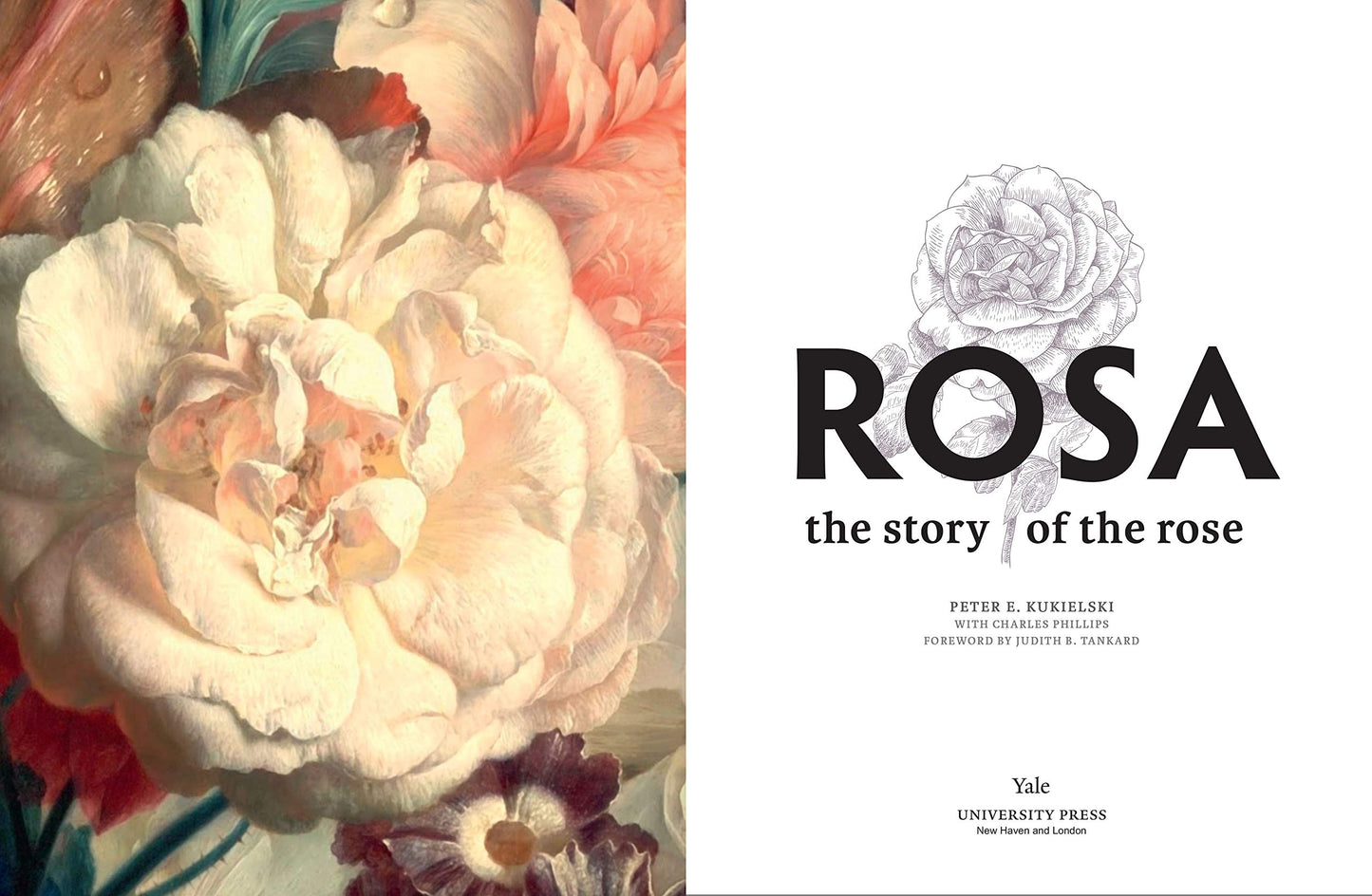 Rosa : The Story of the Rose