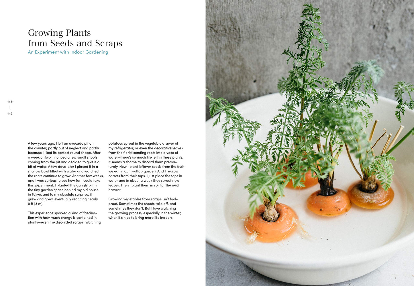 Simplicity at Home : Japanese Rituals, Recipes, and Arrangements for Thoughtful Living