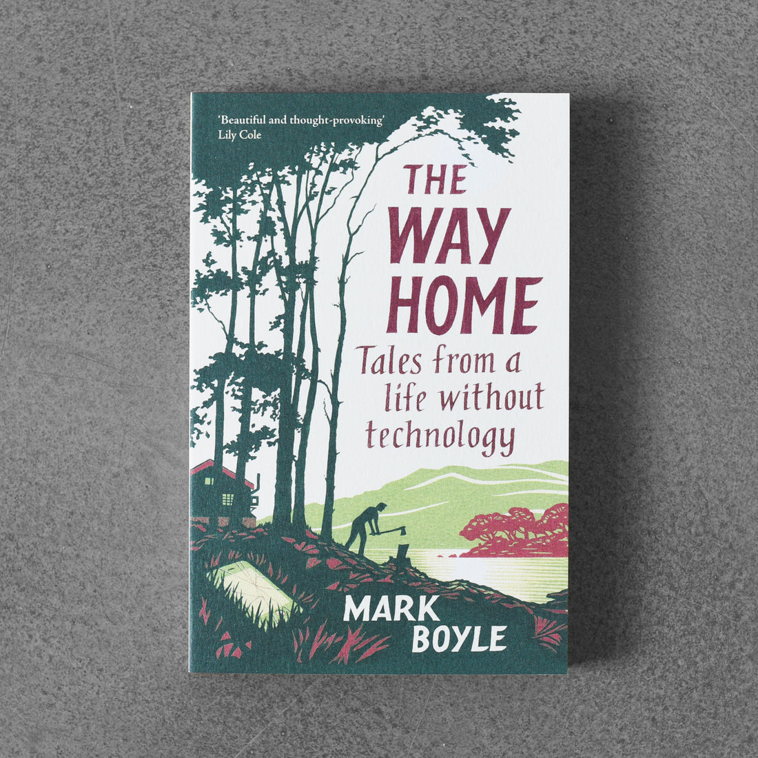 The Way Home: Tales from a Life without Technology - Mark Boyle