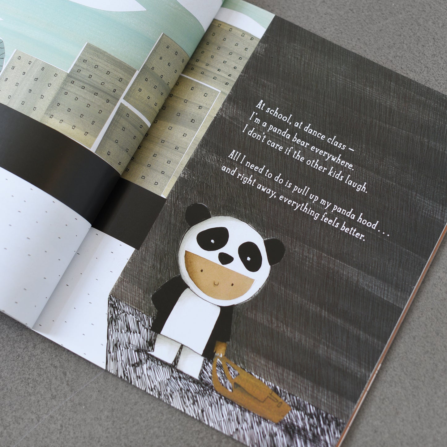 My Panda Sweater - written by Gilles Baum, illustrated by Barroux