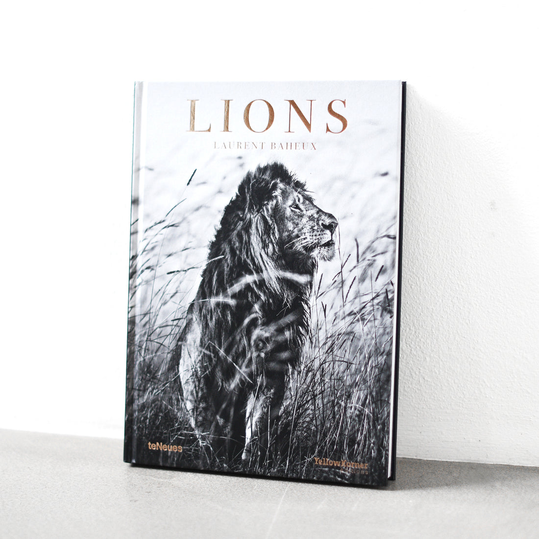 Lions - Laurent Baheux