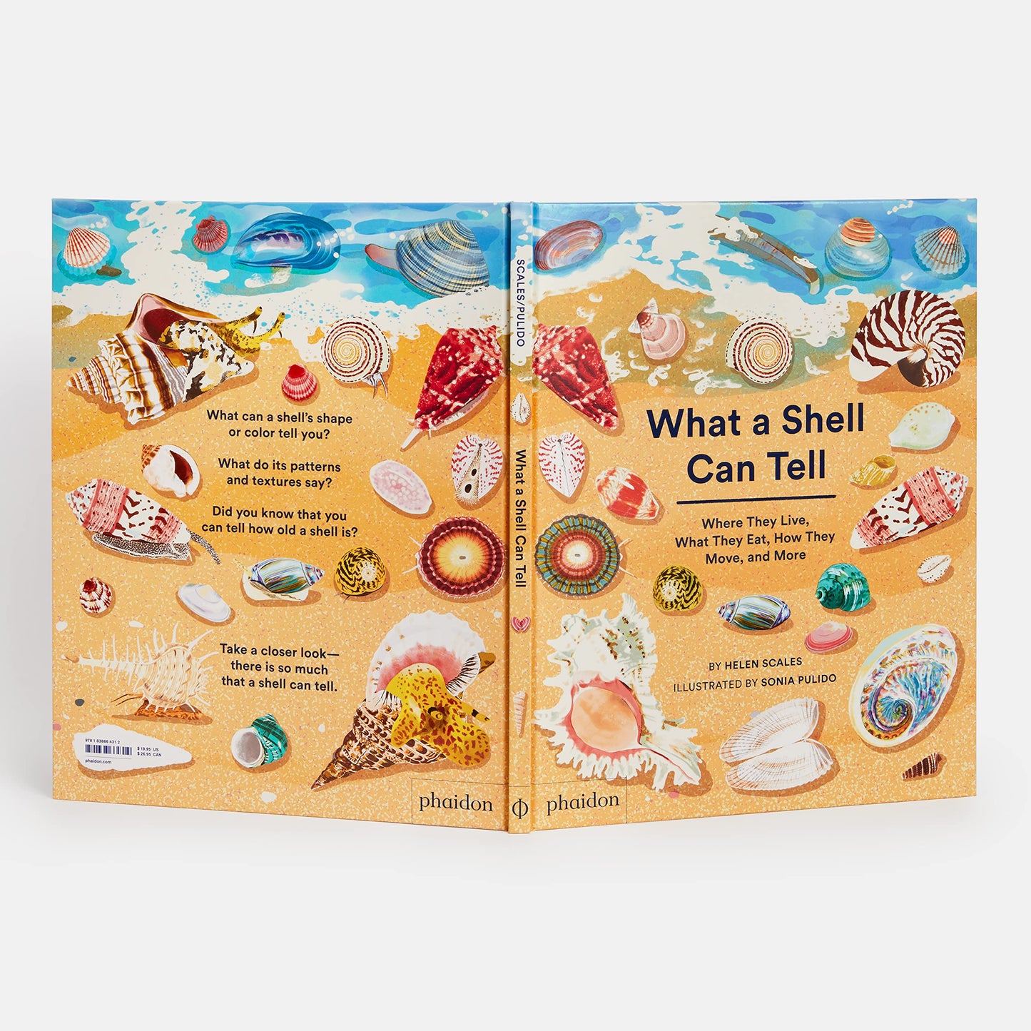 What A Shell Can Tell – Helen Scales