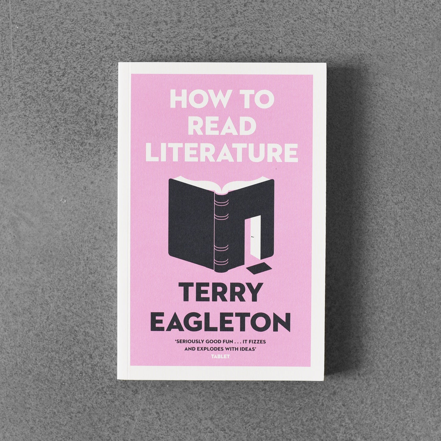 How to Read Literature - Terry Eagleton
