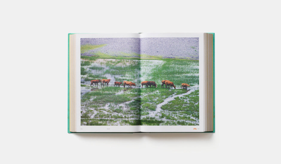 China - The Cookbook