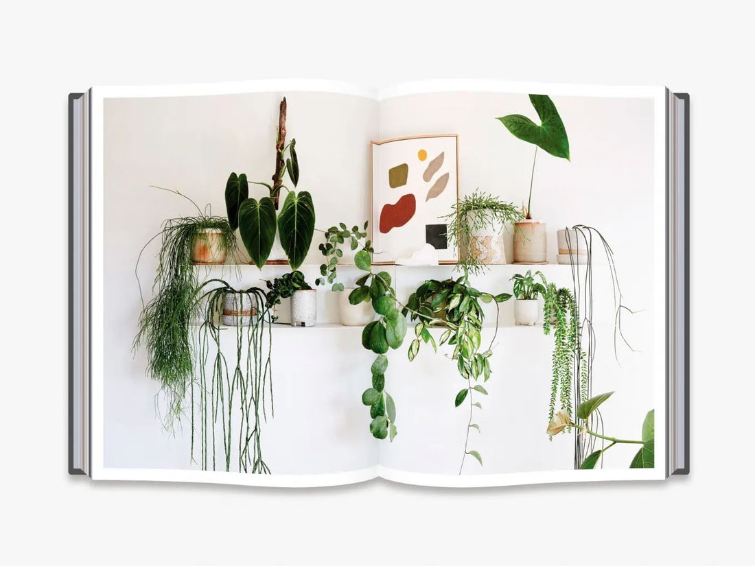 Nature Style