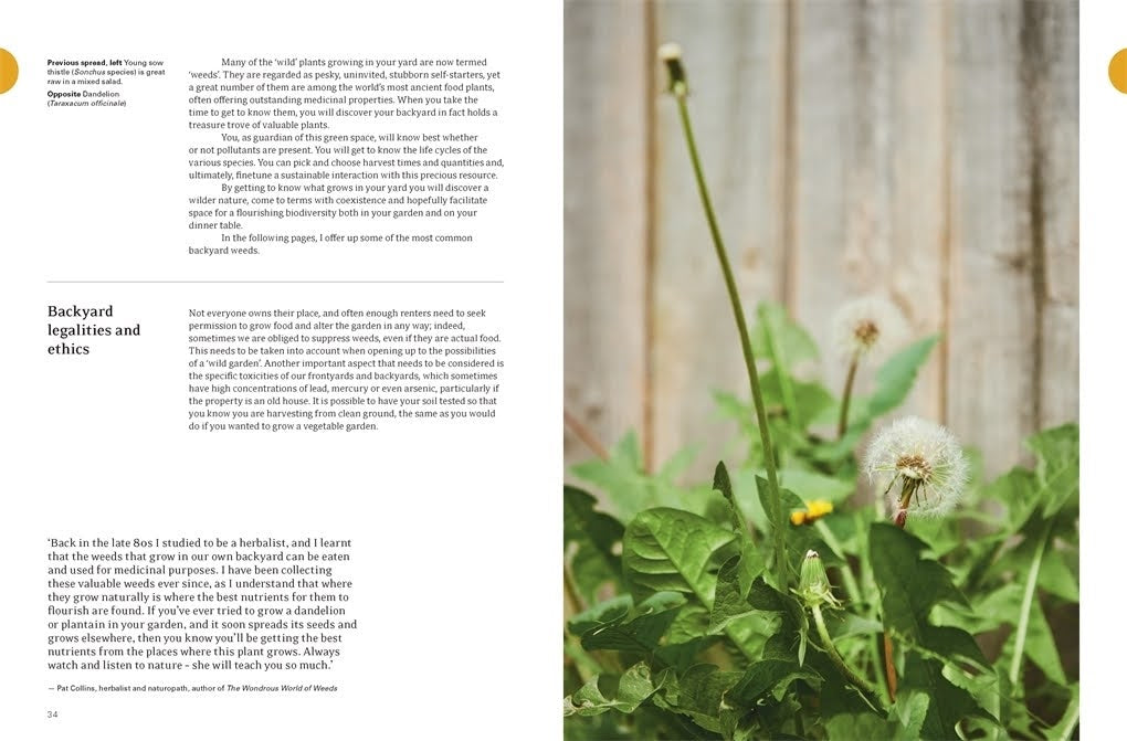 Eat Weeds: A field guide to foraging