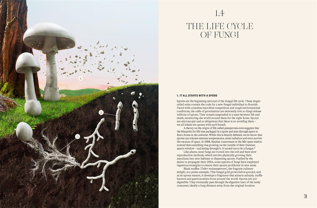 Future is Fungi