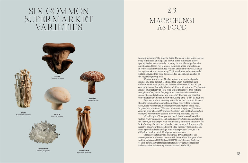 Future is Fungi