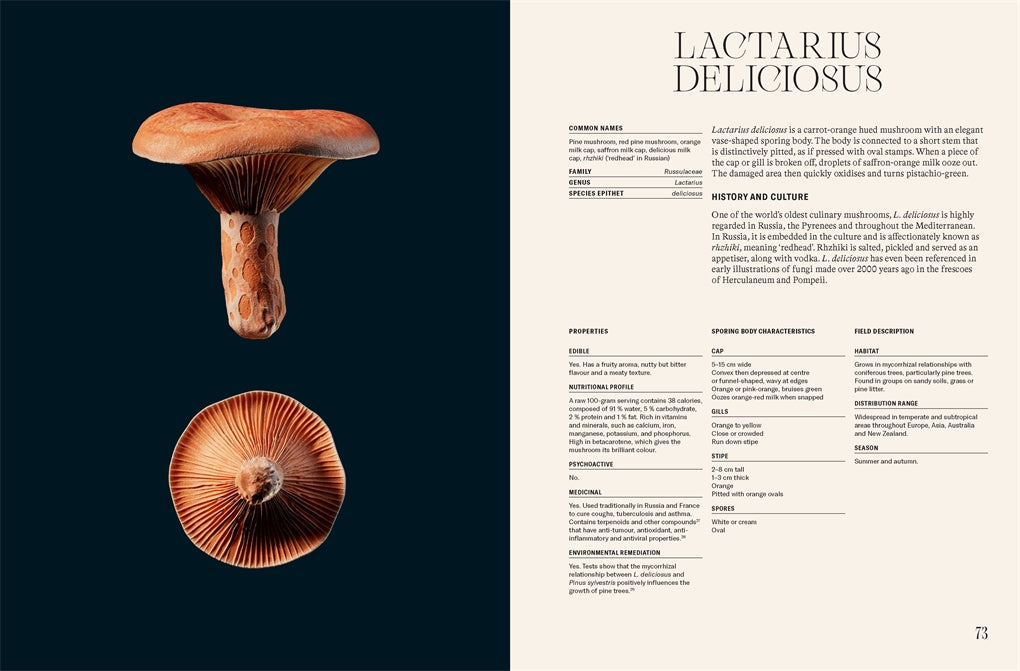 Future is Fungi
