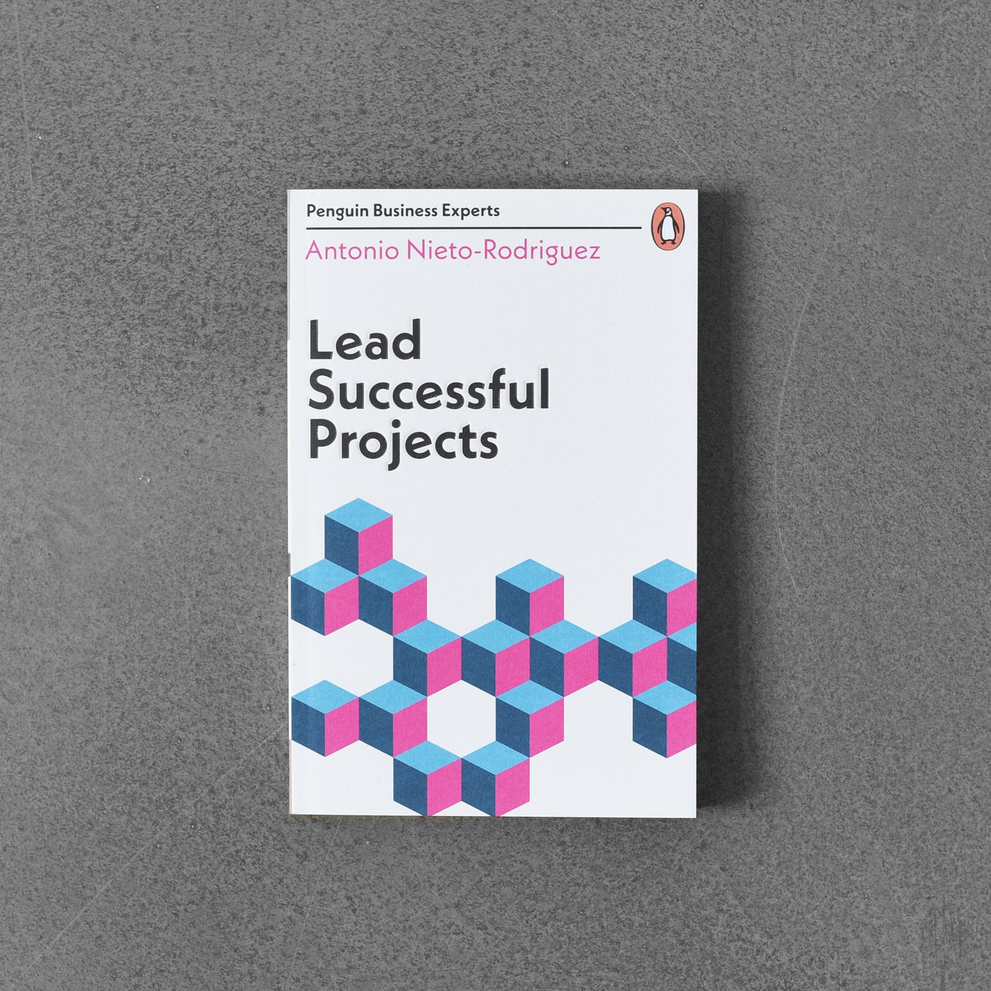 Lead Successful Projects