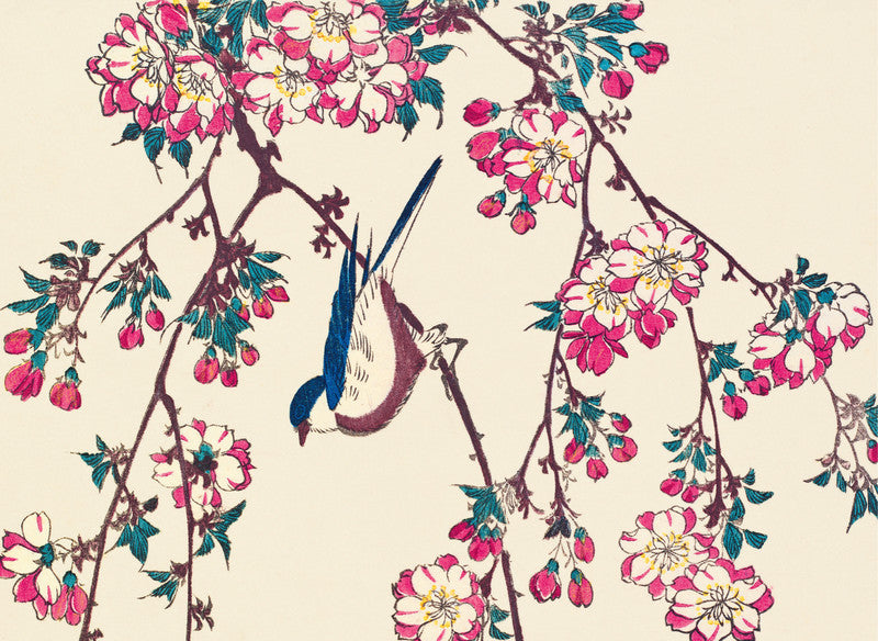 Kingfisher with Lotus Flower: Birds of Japan by Hokusai, Hiroshige and Other Masters