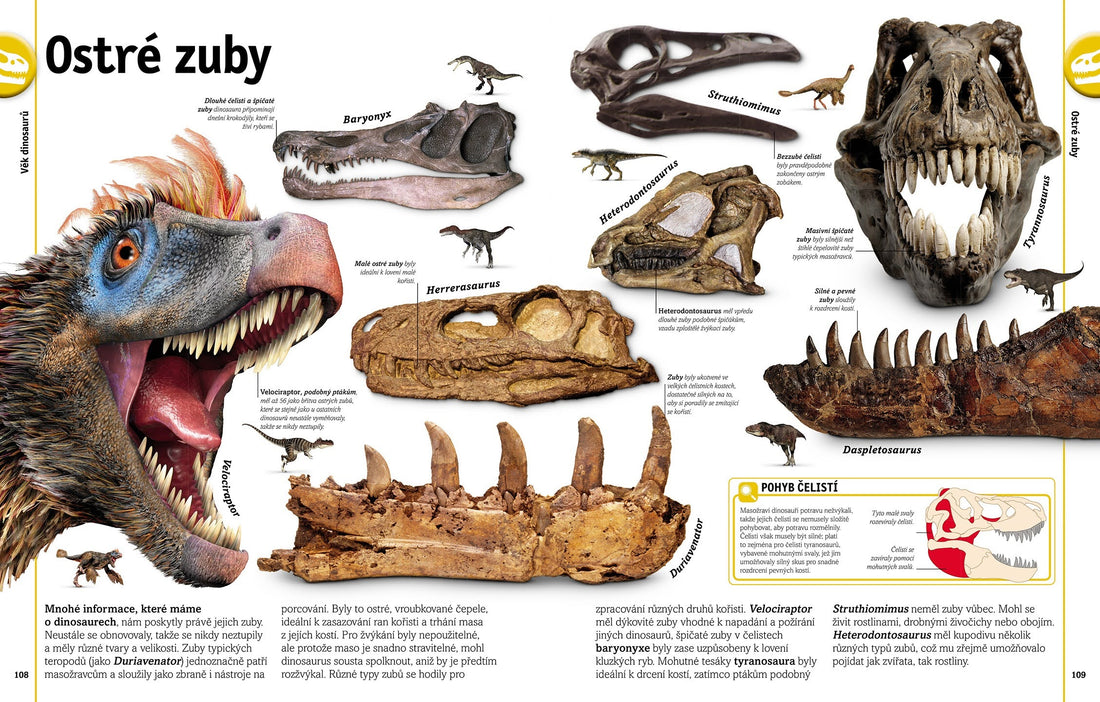 Dinosauři a jiná pravěká zvířata