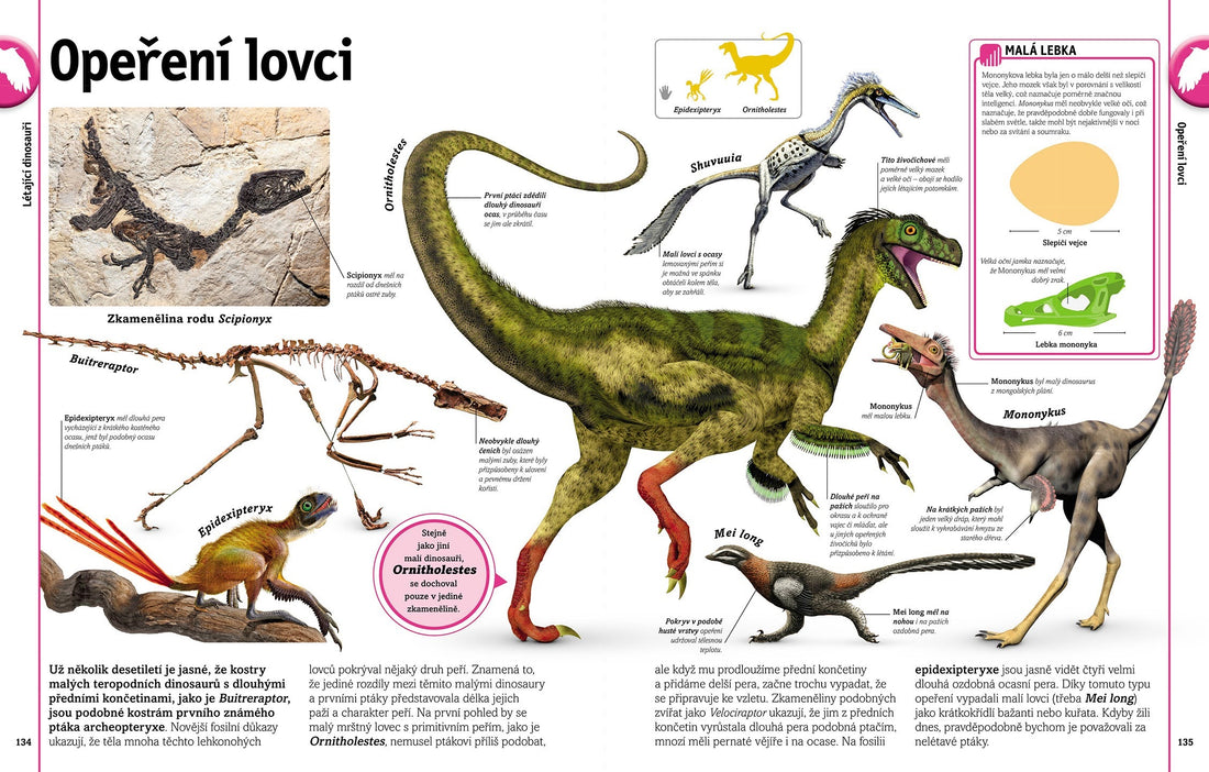 Dinosauři a jiná pravěká zvířata