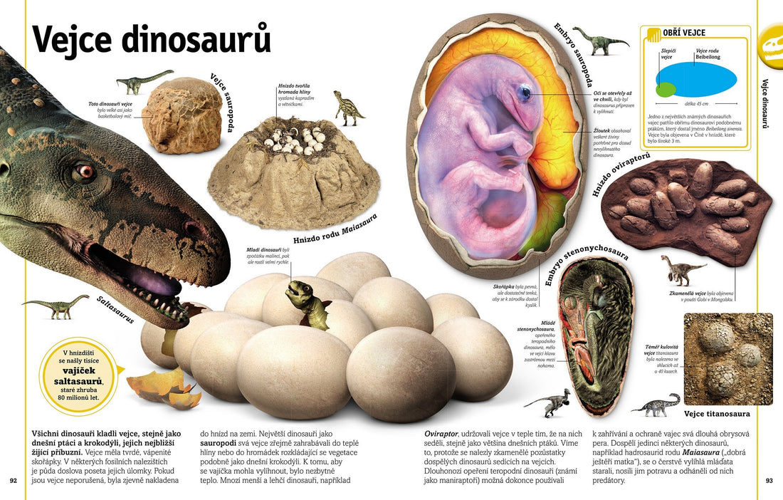 Dinosauři a jiná pravěká zvířata