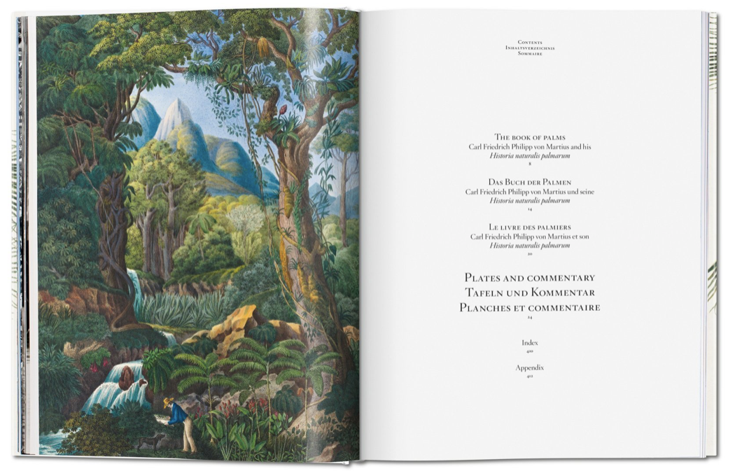 The Book of Palms: The Complete Plates