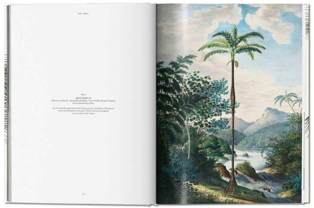 The Book of Palms: The Complete Plates