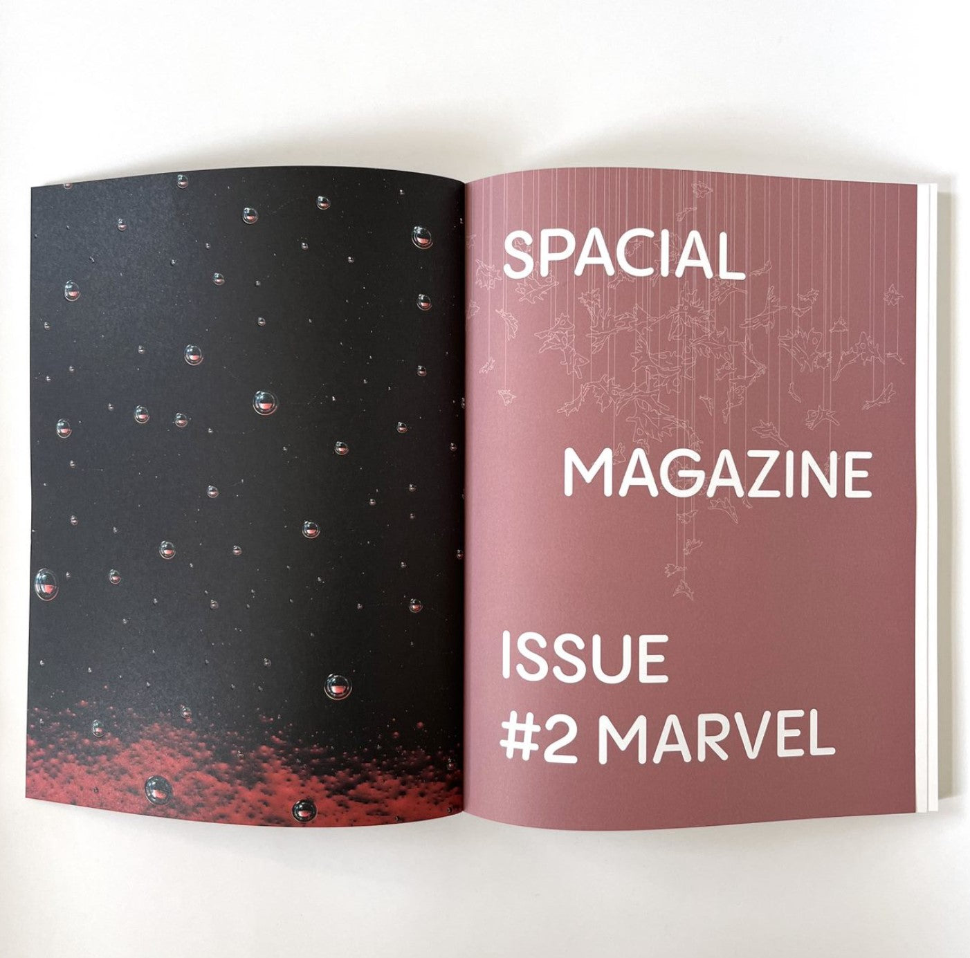 Spacial Magazine 2023