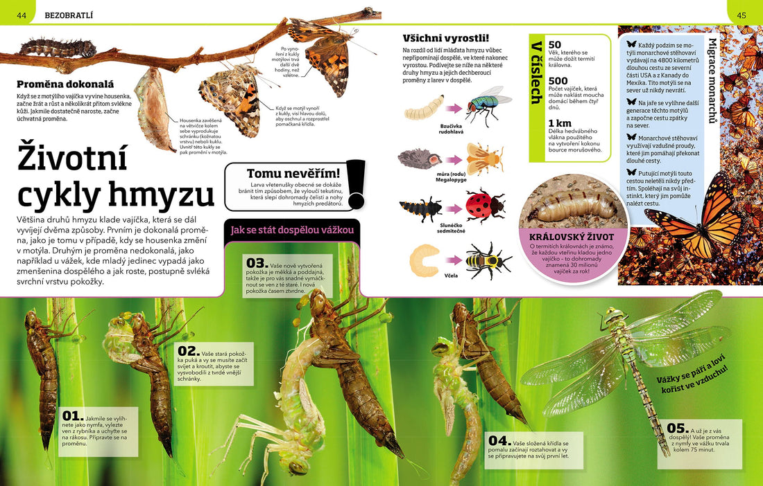 Génius v říši zvířat